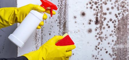 Antimuffa per pareti: come e quando usarlo