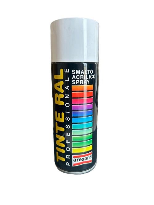 Bombolette Professional RAL 9006 ml.400