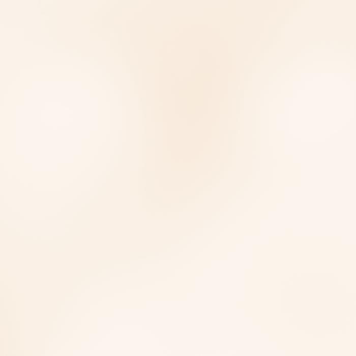 Pigmento Metallizzato in Polvere Pearly White gr.5
