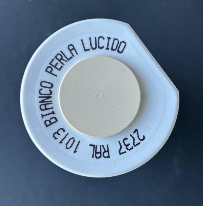 Bombolette Professional RAL 1013 Lucido