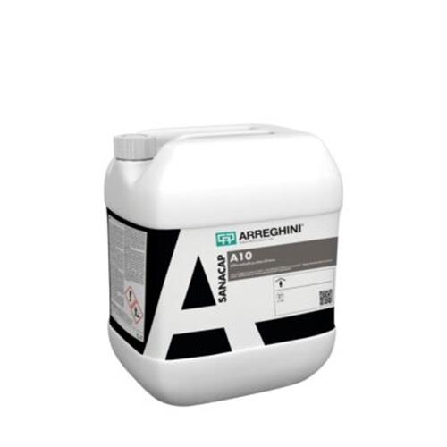 Sanacap A10 Additivo Antimuffa