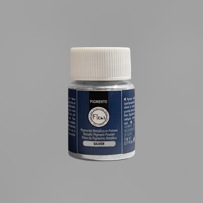 Pigmento Metallizzato in Polvere Silver gr.5