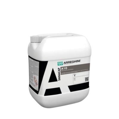 Sanacap A10 Additivo Antimuffa