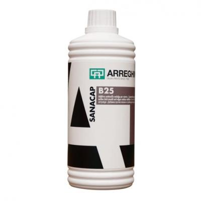 Sanacap B25 Additivo Antimuffa Antialga ml.350
